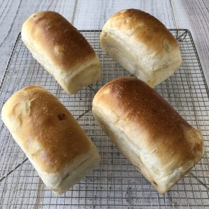 オニオンパン集合